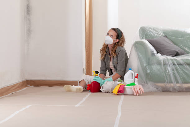 Reliable Mold Remediation contractor in El Mirage, AZ by WQB Mold Removal
